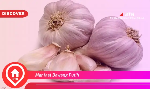 manfaat bawang putih