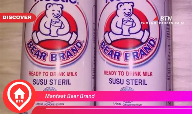 manfaat bear brand