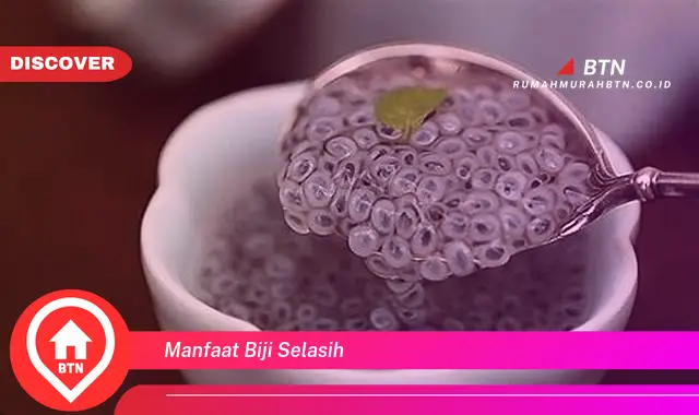 manfaat biji selasih