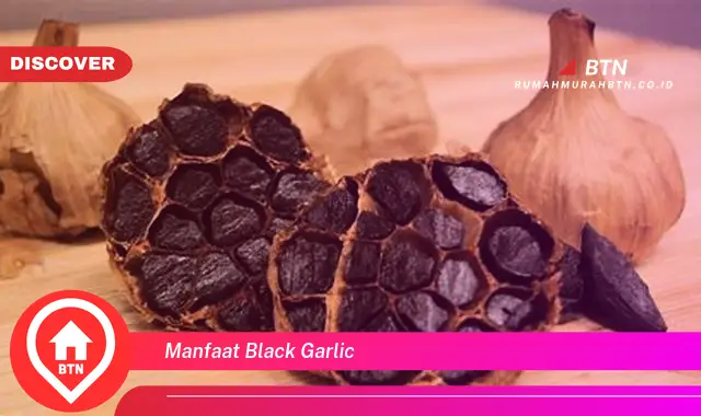 manfaat black garlic