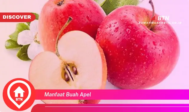 manfaat buah apel