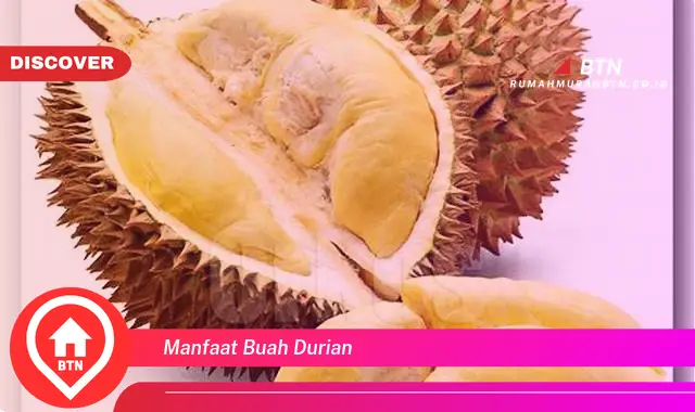 manfaat buah durian