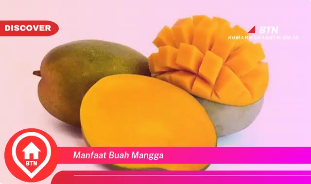 manfaat buah mangga