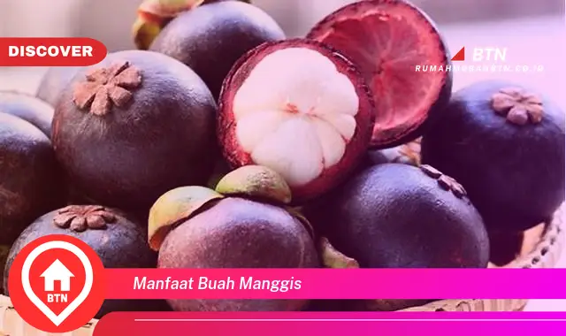 manfaat buah manggis