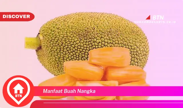 manfaat buah nangka