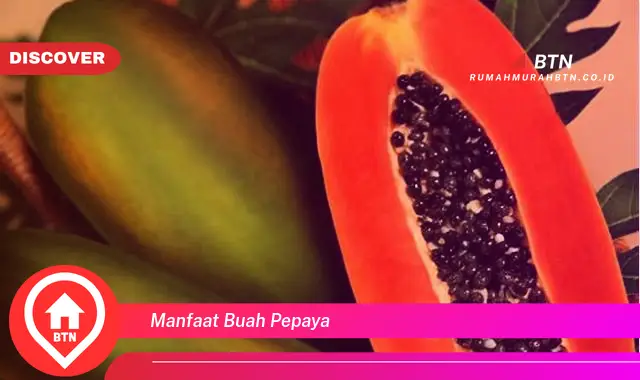 manfaat buah pepaya