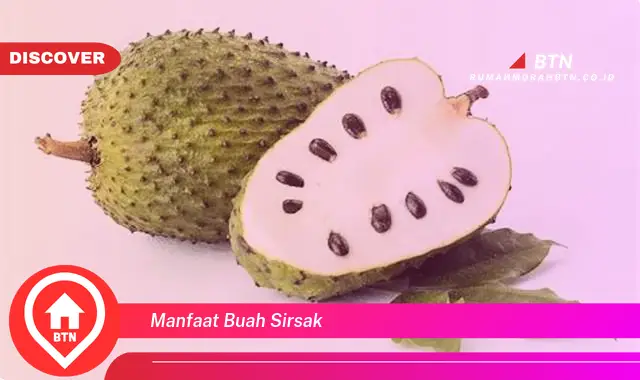 manfaat buah sirsak