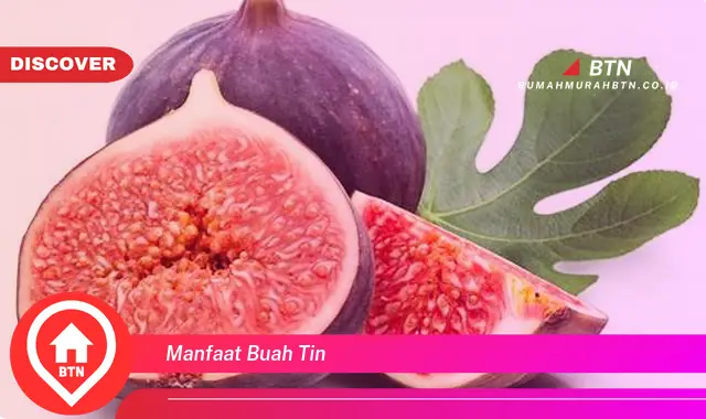 manfaat buah tin