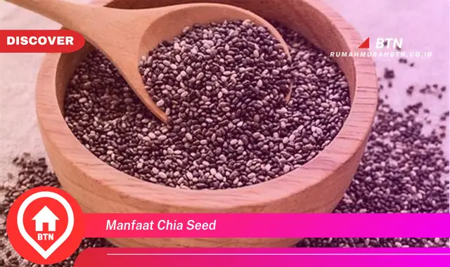 manfaat chia seed