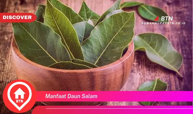 manfaat daun salam