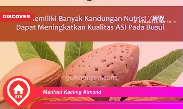 manfaat kacang almond