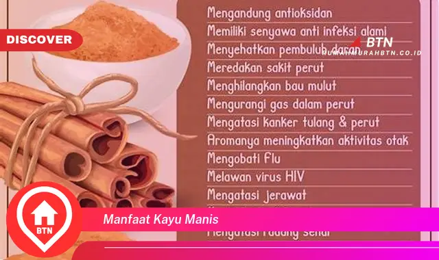 Intip 4 Manfaat Kayu Manis untuk Kesehatan yang Jarang Diketahui - BTN Discover