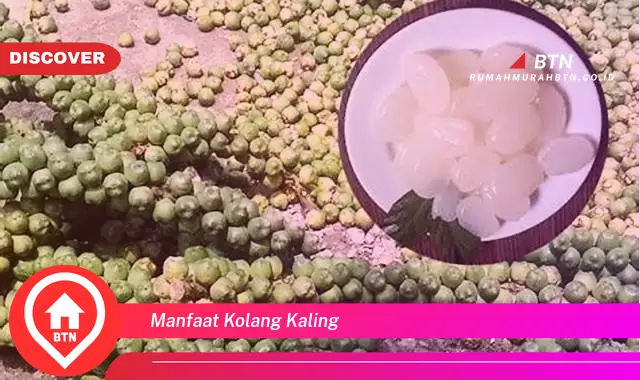 manfaat kolang kaling