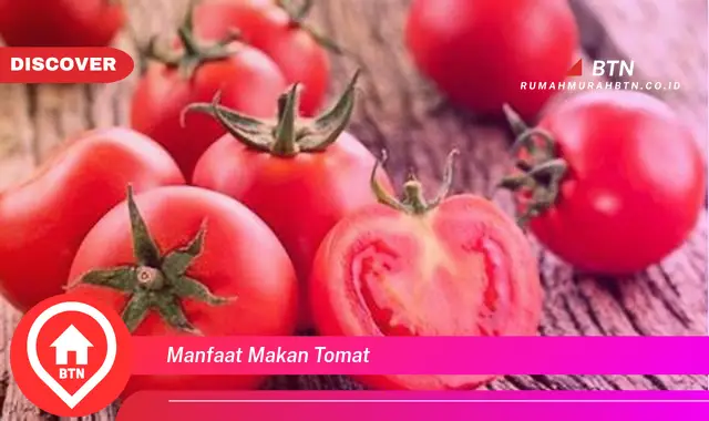 Ketahui 4 Manfaat Makan Tomat yang Bikin Kamu Penasaran - BTN Discover