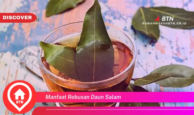 manfaat rebusan daun salam