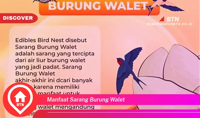 manfaat sarang burung walet