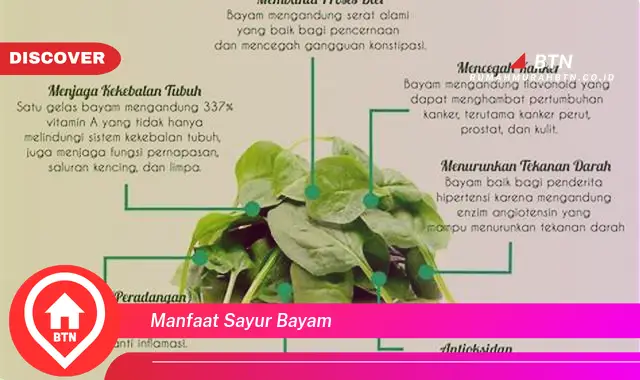 manfaat sayur bayam