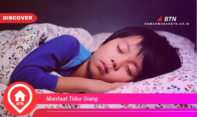 manfaat tidur siang