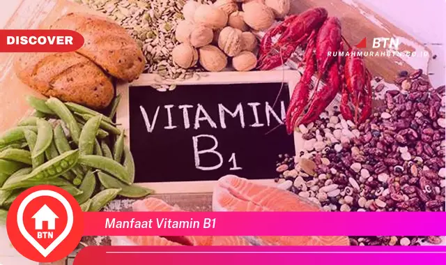 manfaat vitamin b1