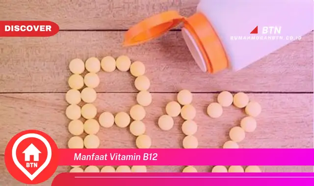 Temukan 4 Manfaat Vitamin B12 yang Jarang Diketahui - BTN Discover